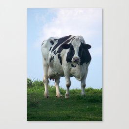 Vermont Dairy Cow Canvas Print