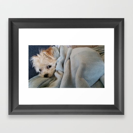 Don't Bother Me Framed Art Print