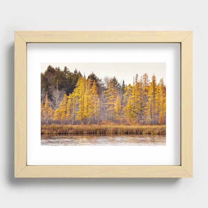 all dressed in yellow Recessed Framed Print