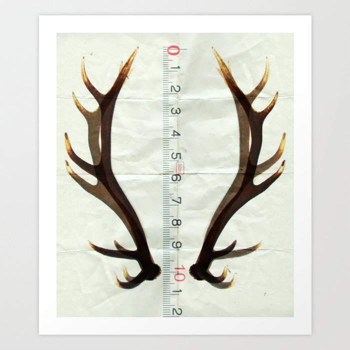 antlers measure Art Print