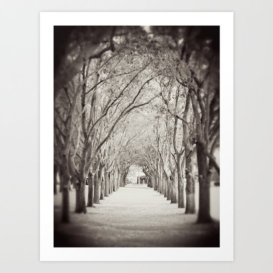 Follow the path Art Print