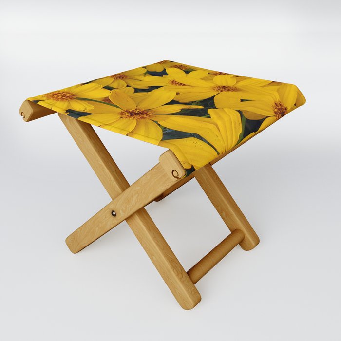 Yellow Dazeys Folding Stool