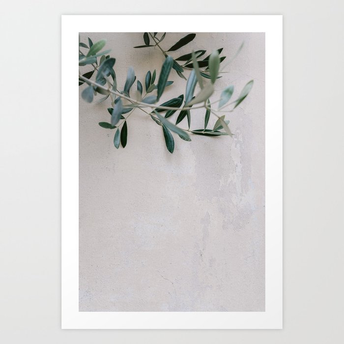 Olive twig on a pastel colored wall in Italy | Fine art photography in Toscany| Travel photography Europe | Pastel tones Art Print