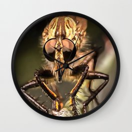 Robber Fly Profile Asildae Close Up Wall Clock