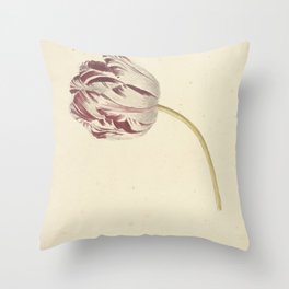 Red and white tulip, anonymous, 1700 - 1800 Throw Pillow