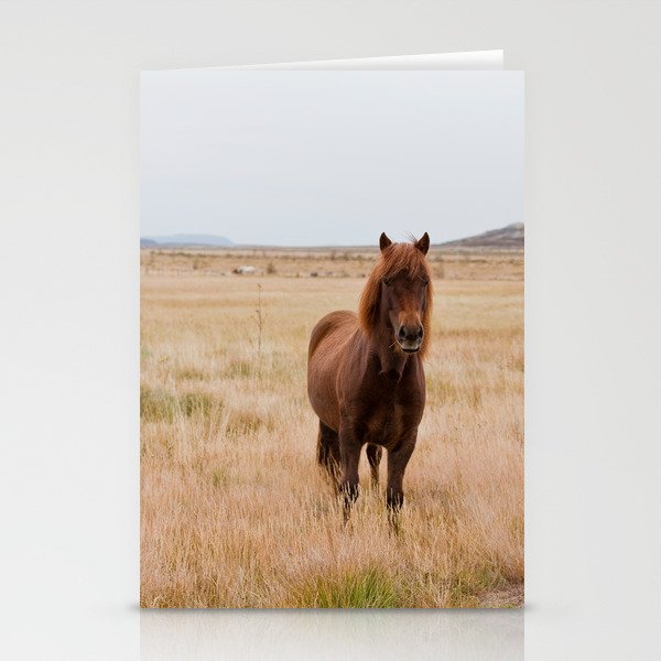 Icelandic Horse Stationery Cards