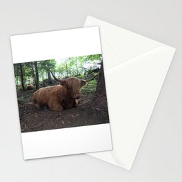 Fluffy Highland Cattle Cow 1185 Stationery Card