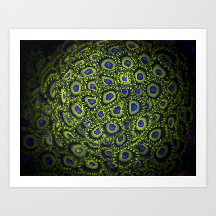 Corals Zoanthus Lakers Art Print By Nauzet Society6
