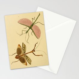 Naturalist Stick Bugs Stationery Card