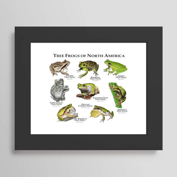 Framed Art Print