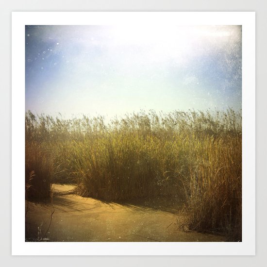 Little Swamp Art Print
