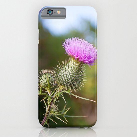Bull Thistle in Mt. Rogers, Virginia iPhone & iPod Case