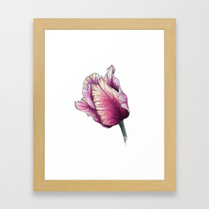Watercolor Parrot Tulip Framed Art Print
