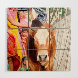 Holy cow, India Wood Wall Art