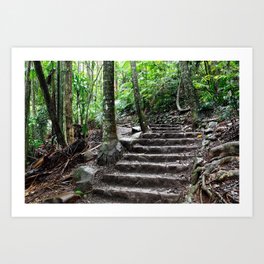 Ascent Art Print | Tropical, Stairs, Lead, Trek, Lush, Rainforest, Australia, Photo, Stone, Journey 