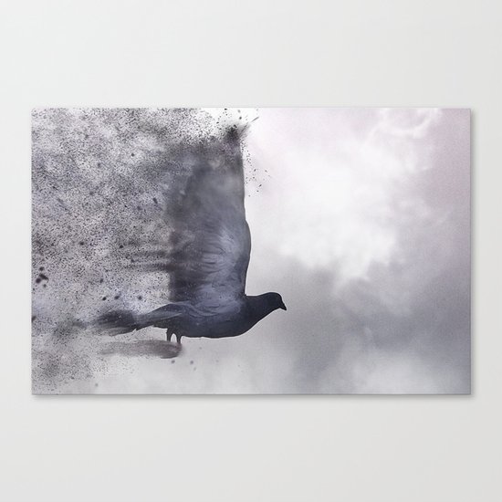 Pigeon in the Fog Canvas Print