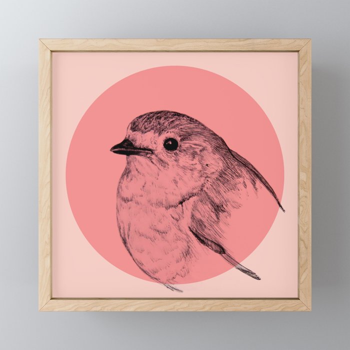 Robin - Red Bird Drawing Framed Mini Art Print