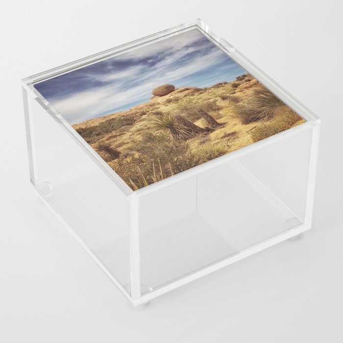 Desert Plant Growth Acrylic Box