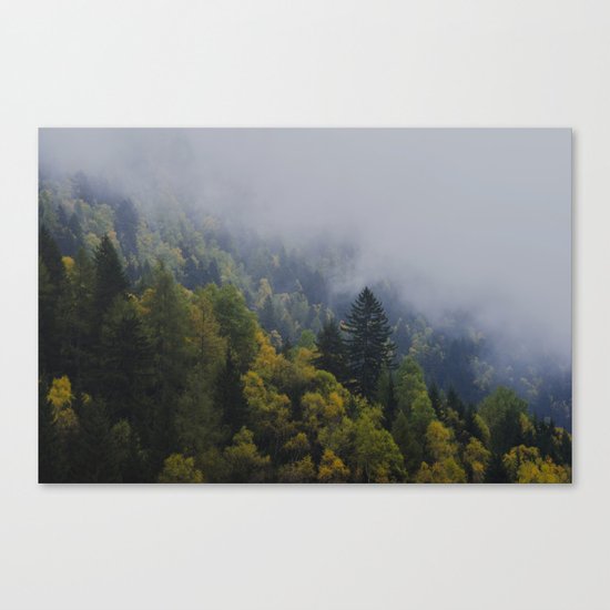 why so moody? Canvas Print