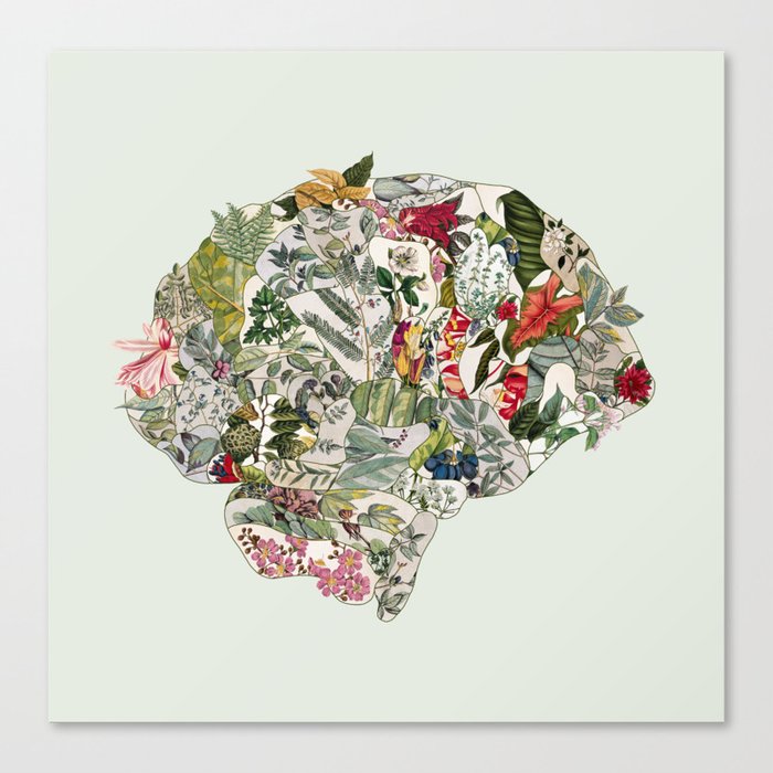 My Botanical Brain Canvas Print