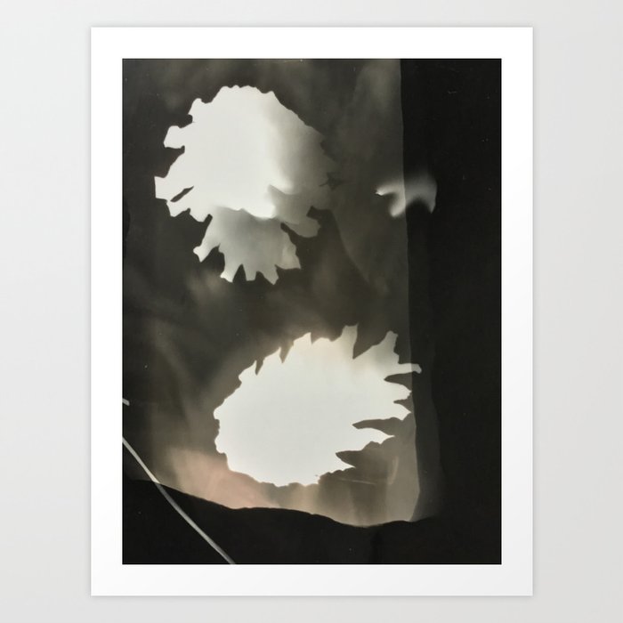 Sepia Pine Cones, Art Print