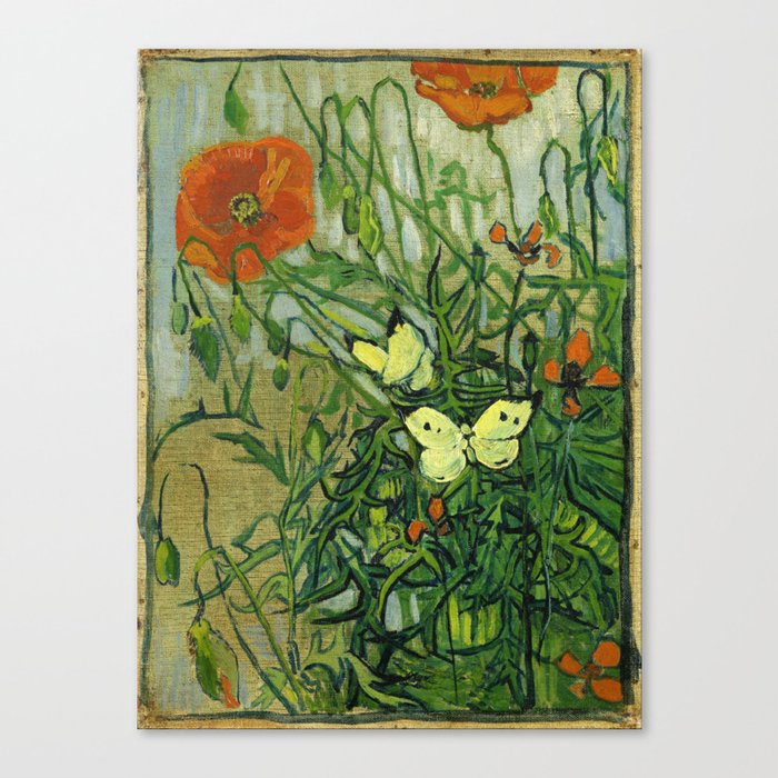 Vincent Van Gogh - Butterflies and Poppies Canvas Print