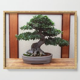 Bonsai Tree Serving Tray