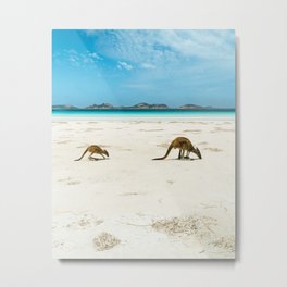 Kangaroos of Lucky Bay Metal Print | Beach, Mum, Baby, Animal, Luckybay, Blue, Westernaustralia, Capelegrand, Nationalparkt, Australia 