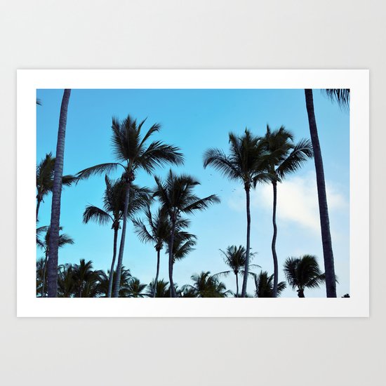 Coconut trees | Praia do Espelho | Brazil Art Print