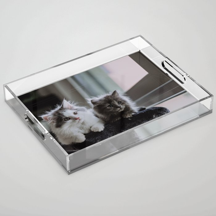 Two kitties Acrylic Tray