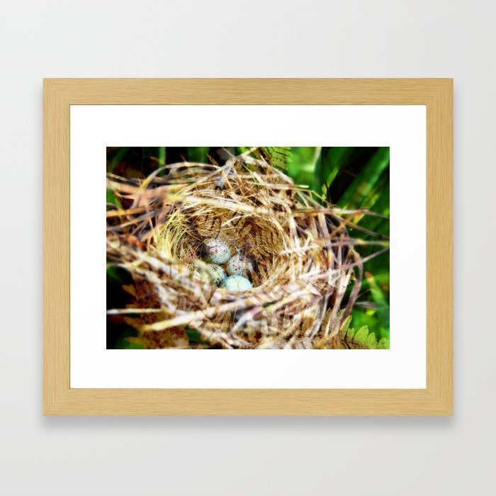 Birds :: Our Nest Framed Art Print