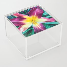 Lily in Color Acrylic Box