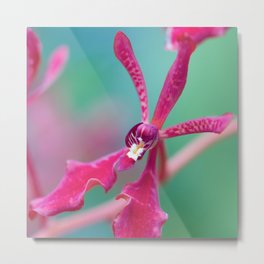 Exotic Pink Orchid In Green Metal Print