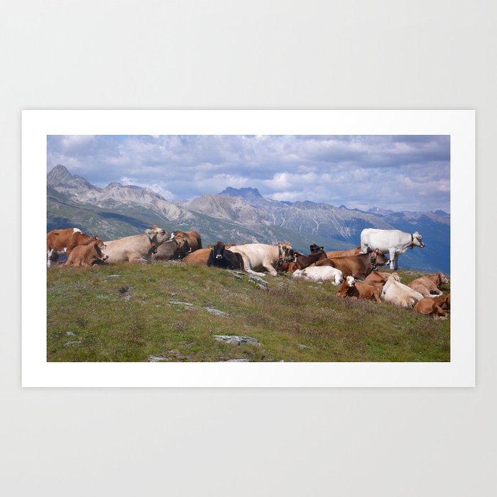 cows chill out Art Print
