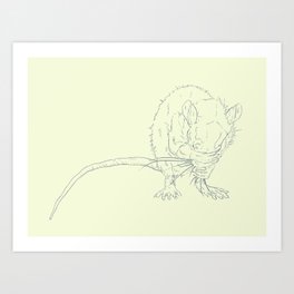 Little Rat Cleaning Face Art Print