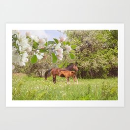 Horses in spring pasture Art Print | Landscape, Horses, Horse, Blossom, Kids, Mothersday, Bloom, Appleblossom, Mom, Animal 