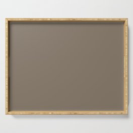 Dark Neutral Warm Clay Beige Taupe Solid Color PPG Clam Shell PPG1023-6 - All - Single - Simple Hue Serving Tray