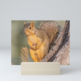 Squirrel On A Tree Trunk  Mini Art Print