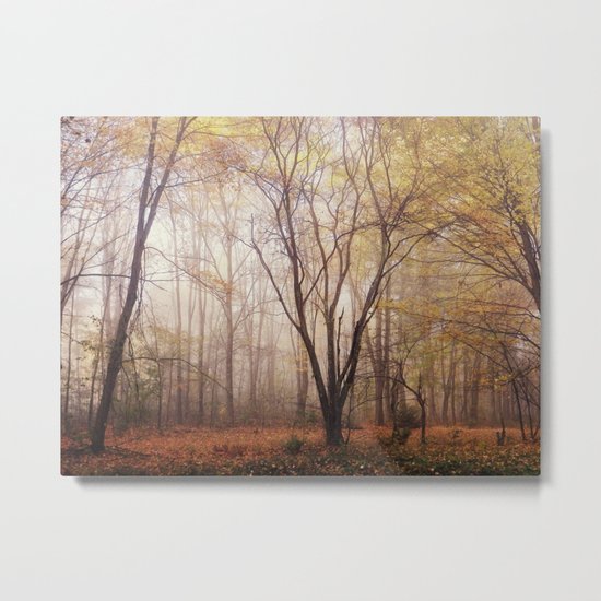 Fallen Metal Print