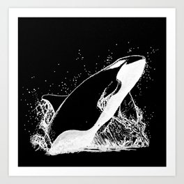 Killer Whale Breaching Ink Art Art Print