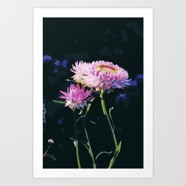 Cornflower Art Print