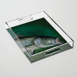 Striped Bass Fishing Art Prints Acrylic Tray