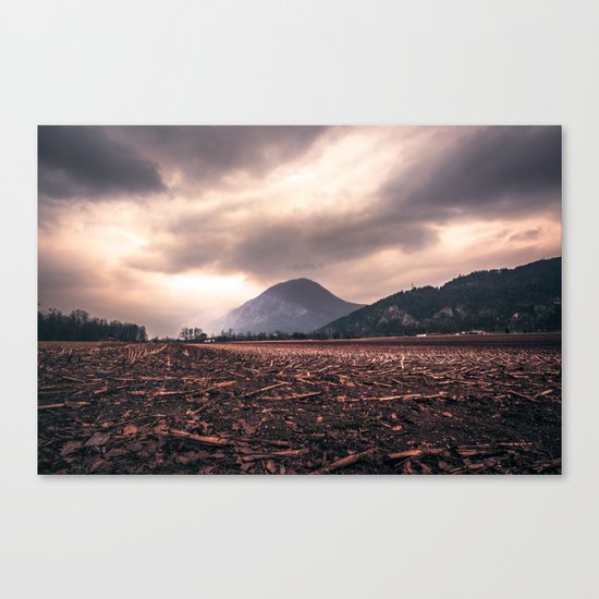 Wastelands Canvas Print