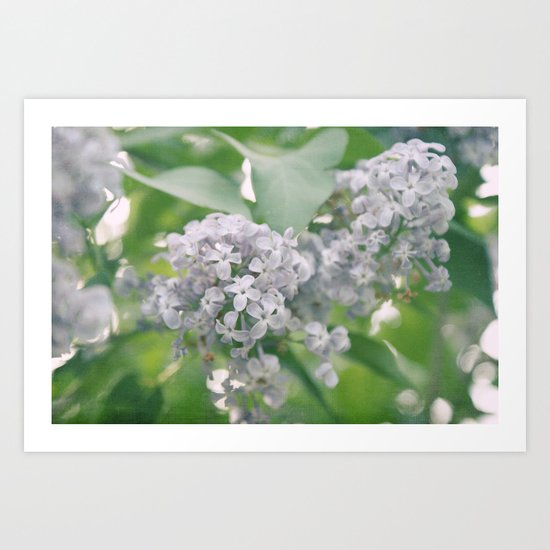 Lilacs Art Print