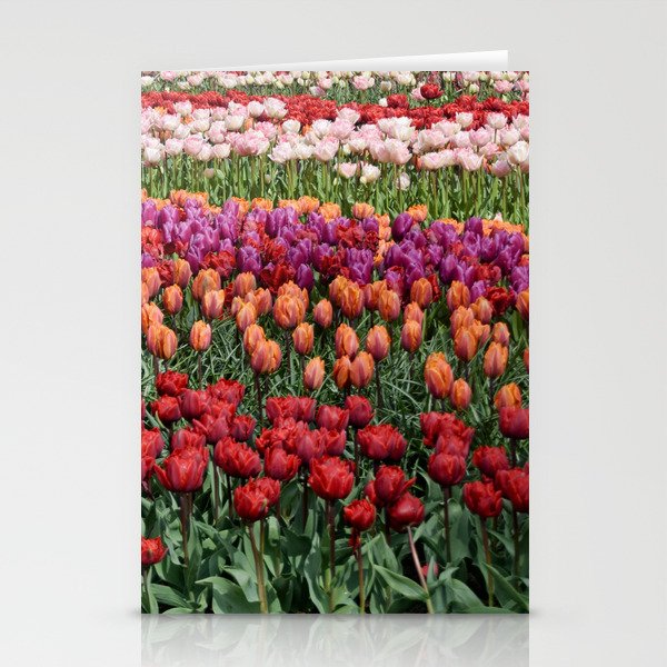 Colorful Tulips Stationery Cards