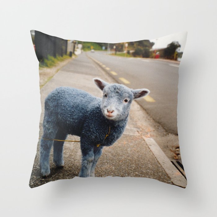 Blue? Sheep? Throw Pillow