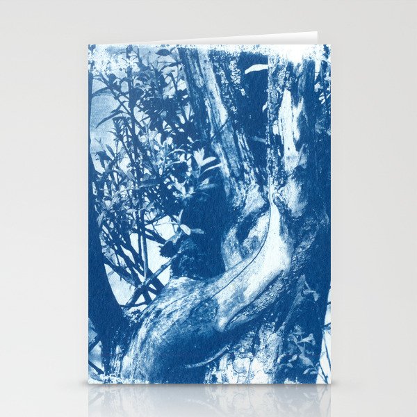 Histoire d'arbre, cyanotype. Stationery Cards