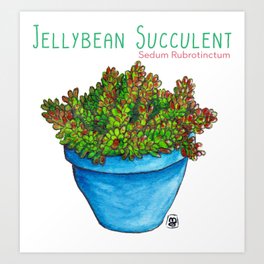 Jellybean Succulent Art Print