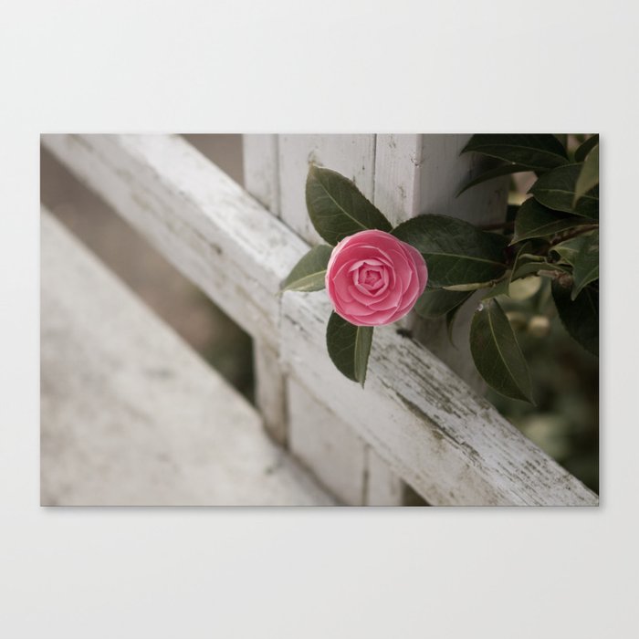 Pink Porch Flower Canvas Print