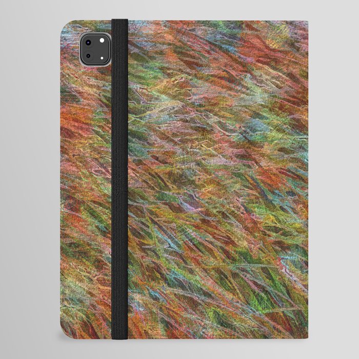 Rainbow carpet iPad Folio Case